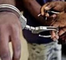 Bignona : Un réseau de voleurs de poivre démantelé, un butin de 5 millions de FCFA en jeu !