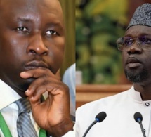 Diplomatie : « Le PM n'a aucune qualité à... », la nouvelle charge de Mayoro Diop contre Sonko