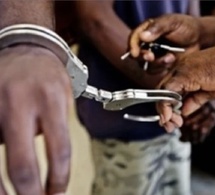 Justice : Mbaye Diouf, premier condamné sous la nouvelle loi durcissant la répression des actes contre nature