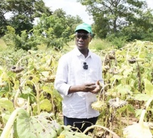 Campagne agricole 2026 : le Sénégal sécurise ses intrants et renforce sa souveraineté alimentaire