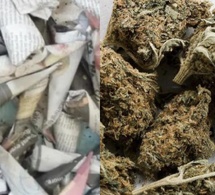 Notto Gouye Diama : condamné à 8 mois de prison, M. Sow avait dissimulé 77 cornets de yamba dans sa boucherie