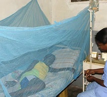 Paludisme au Sénégal : 92,4 % des districts sanitaires déjà en phase de pré-élimination