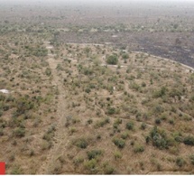 Safari : Ce projet titanesque qui promet de booster le tourisme de 21 %, mais qui attend le feu vert de l'État