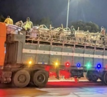 Burkina Faso : Exportation clandestine de bétail en violation de l’interdiction en vigueur