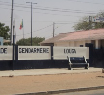 Louga: trois dealers de chanvre indien, tombent !