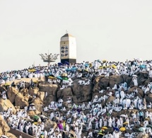 Hajj 2026 : Arafat accueille des milliers de pèlerins dans une intense ferveur spirituelle