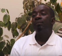 Vidéo- Persidan de “Rirou Tribunal” apporte la réplique à l’avocat Ndiaga Dabo