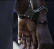 Villas, terrains et haschisch : les dessous d’un dossier impliquant un émigré sénégalais