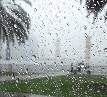 Jusqu'à 73 mm d'eau : Les premières pluies « utiles » lancent enfin l’hivernage à Kédougou