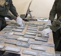 Douanes du Sud : recettes en hausse et saisies record de drogue en 2025