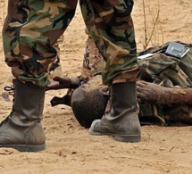 Drame à Ziguinchor : Un militaire abattu par des individus armés à Bofa