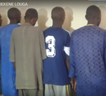 Banditisme à Louga : 11 personnes interpellées dont trois femmes, deux fugitifs recherchés