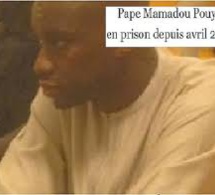 Sur les traces de la troisième société de Mamadou Pouye : La face cachée de Regory invest