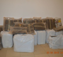 Trafic de chanvre indien : Deux dealers, dont une femme, arrêtés à Yoff et Sandaga avec 220 kg de "Brown"
