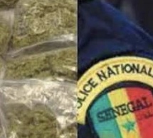 Détention de drogue : Le fils d'un nouveau ministre arrêté par la police de Sicap-Mbao