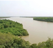 Fleuve Gambie : le niveau d’eau reste sous contrôle, la vigilance verte maintenue dans tout le bassin.