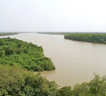 Fleuve Gambie : Le niveau d’eau poursuit sa baisse, aucune menace de crue à ce stade