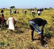 On n'en peut plus ! » : Pourquoi les agriculteurs de 4 communes envahissent la rue ce matin à Pout