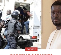 Parcelle Assainies : le militant de Pastef, la photo des parents de Diomaye Faye et le...