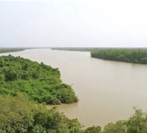 Fleuve Gambie : la situation hydrologique reste globalement sous contrôle