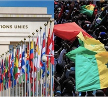 Organismes internationaux : les Sénégalais en voie de disparition, deux raisons avancées