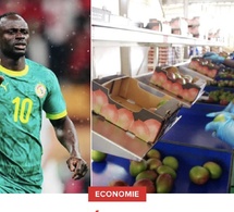 Sédhiou : Sadio Mané mise 8,7 milliards sur la transformation de la mangue