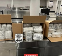 Aéroport de Chicago : Plus d'un demi-tonne de khat saisie sur trois passagers venus du Sénégal !