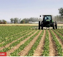 Kédougou : la campagne agricole 2026 sous la menace d’un déficit pluviométrique.