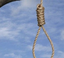Kébémer : Une jeune femme de 20 ans retrouvée morte pendue à un arbre