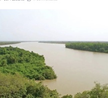 Fleuve Gambie : le niveau monte à Kédougou, mais reste largement sous la cote d’alerte.