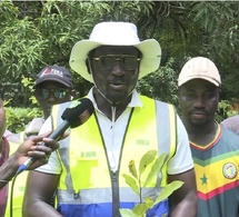 Enampore : les jeunes de Kamobeul misent sur l’anacarde comme moteur d’avenir