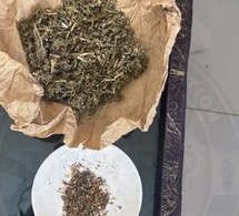 Liberté 6 : Un Nigérian arrêté par le GLAD avec de la cocaïne, du crack et du chanvre indien