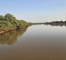 Fleuve Gambie : le niveau de l’eau dépasse la cote d’alerte à Kédougou