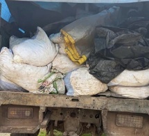 Kédougou : les Douanes saisissent 7,5 tonnes de cyanure dans un réseau de trafic transfrontalier