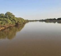 Fleuve Gambie : la décrue se poursuit à Kédougou, mais plusieurs affluents repartent à la hausse