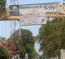 Saly, Ngaparou et La Somone : Les animaux errants mis en fourrière à partir du 31 octobre