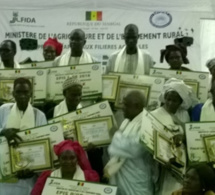 Soirée de partage des résultats du projet d'appui aux filières agricoles : Les meilleurs producteurs ont reçu des épis d'or