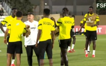 Après la victoire sur Qatar les lions en séance d'entraînement pour la qualification face à Equateur