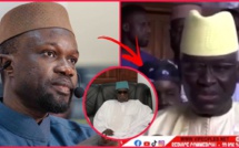 Habib Sy dévoile le contenu de son entretien avec S.Mb.Sy Mansour sur le cas Sonko“liniouko wax ci