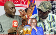 Mamadou A Guissé FULAAK FAYDA recadre sévèrement Moustapha Sy sur ses attaques et le traite de Xatie