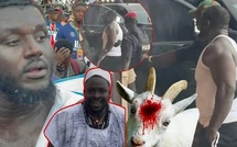 Urgent - Balla Gaye2 Sou Danone Siteu Day…" Ohhh Kmage bou daw yaram Bala Gaye mongi gnibi 😭😭