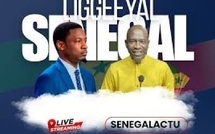 🔴 EN DIRECT- Liggeeyal Sénégal : Mamadou Sy Tounkara face à l’honorable député Pape Djibril Fall