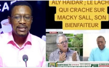 Terrible réaction de Tange sur la réponse pimentée de Bah Diakhaté à Aly Haydar sur ses attaques