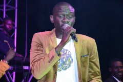 18337385_363021427427260_434056503_n