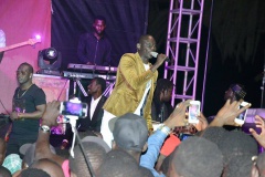 18337109_363021807427222_271950932_n