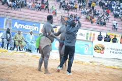 18678855_369210756808327_2063586777_n