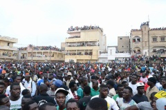 19866460_392695627793173_1091399898_n