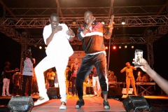 20916913_407668289629240_982939804_n