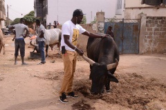 23897949_443633652699370_849957378_n