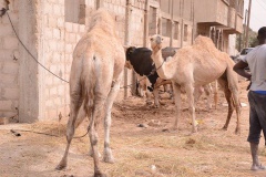 23898022_443633612699374_413323032_n